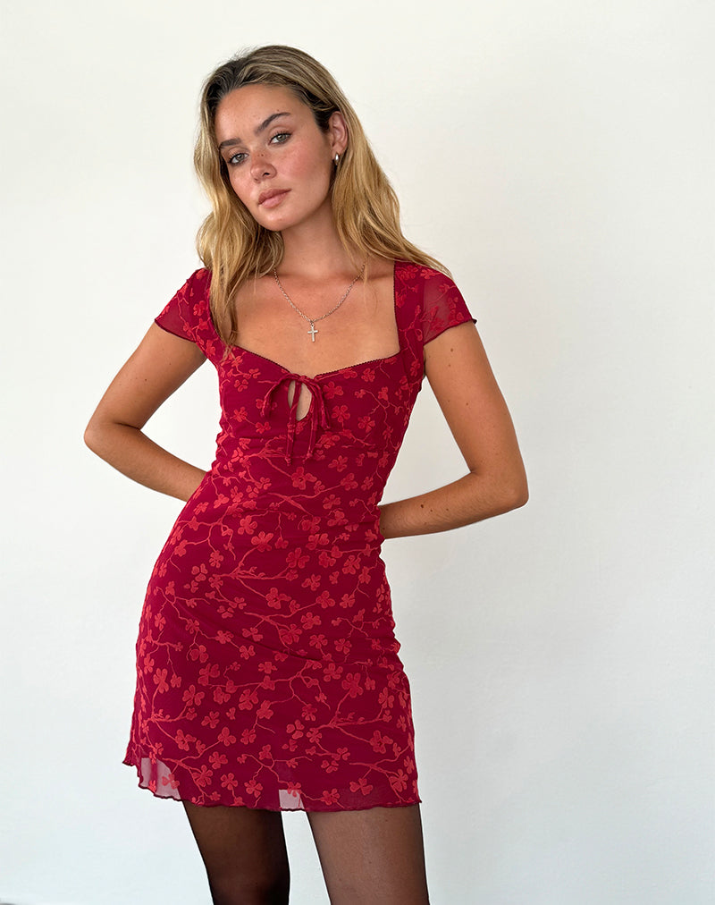 Minivestido Lashka en flocado floral rojo grunge