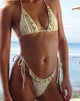 Imagen de braguita de bikini Lentra en racimo rosa amarillo con volante