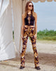 imagen de Mileri Flare Trousers in Butterfly Gold