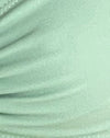 liquen