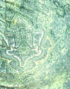 Paisley abstracto verde
