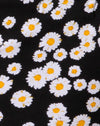 MiniDaisyNegro