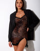 Imagen de Coti Bodycon Dress in Gradient Cheetah Brown with Lace