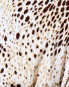 Leopardo de arena