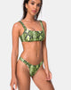 Imagen del sujetador de bikini Farida en Slime Lime Snake