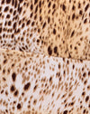 Leopardo arrugado