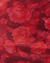 Rosa burdeos rugoso