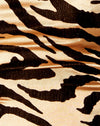 Tigre de oro