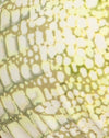 Verde cocodrilo