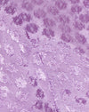 Raso Ditsy Rose Lavanda