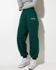 Imagen de Roider Jogger en Verde Botella Angel Embro en Blanco