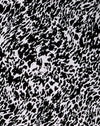 AbstractoAnimal