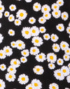 Mini Daisy Negro