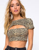 Imagen de Shim Cutout Crop Top en Rar Leopard