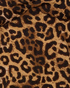 Leopardo nocturno Marrón