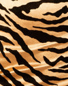 Tigre de oro