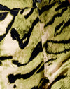 Tigre Colocación Completa Caqui