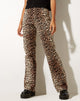 Imagen de Zoven Flare Trouser en True Leopard