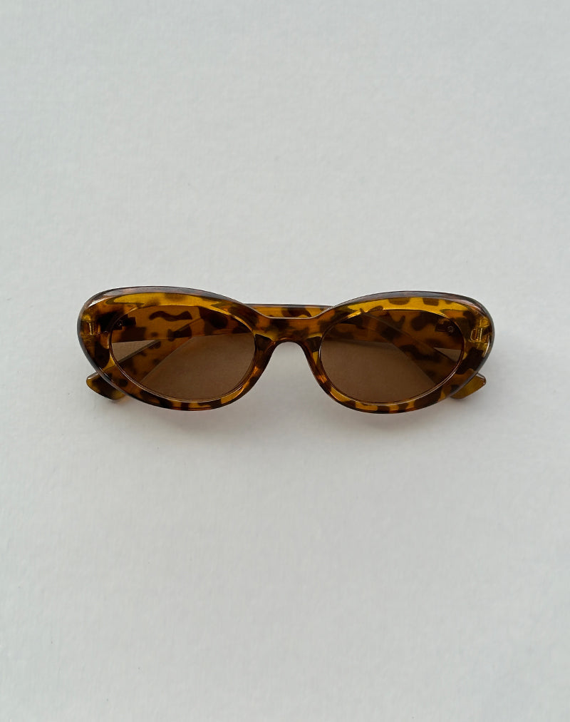 Gafas de sol ovaladas Aldabra en carey