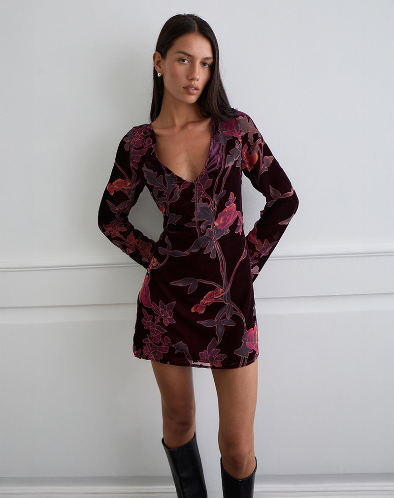 Mini Vestido Alitra en Floral Devore Borgoña