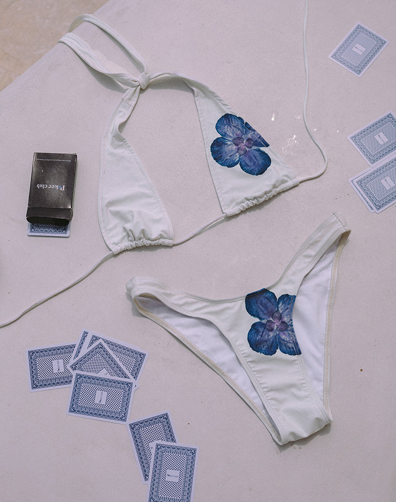 Imagen del sujetador de bikini Cerry en marfil con orquídea azul