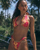 Imagen de Braguita de bikini Farida en hibisco Sketchy Borgoña
