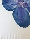 Marfil con Orquídea Azul