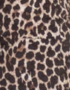 Rar Leopardo Tormenta de arena