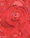 Pétalo de rosa rojo