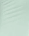 Menta