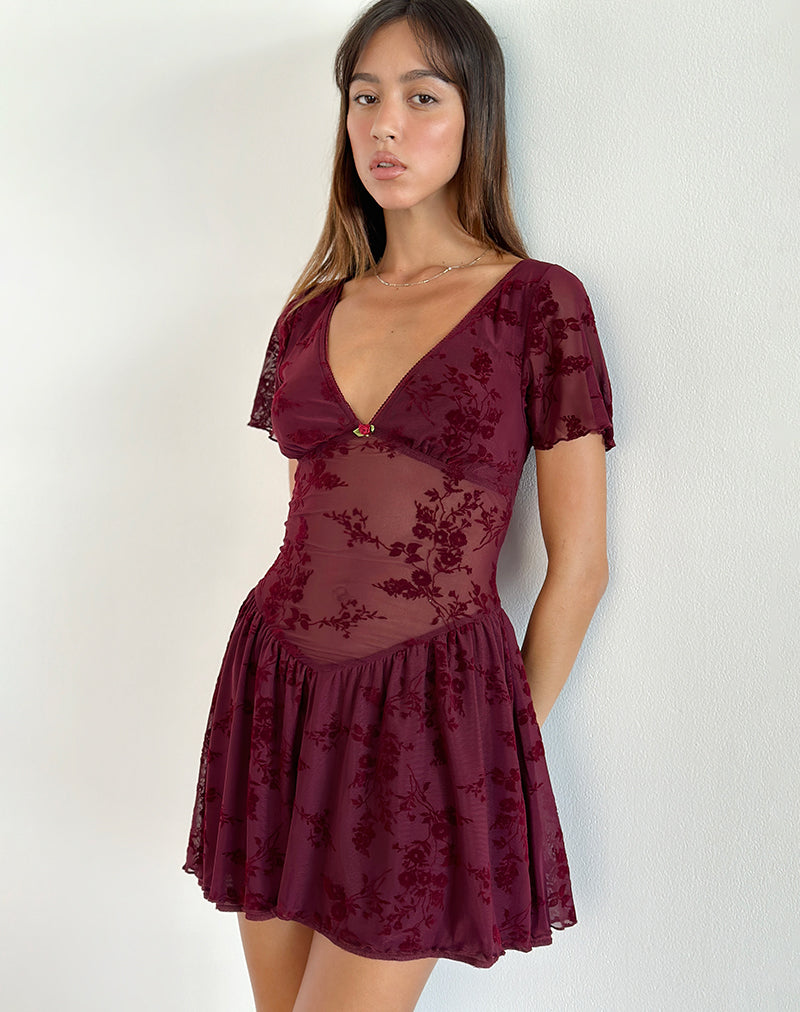 Geni Mini Vestido en Flor Botánico Granate