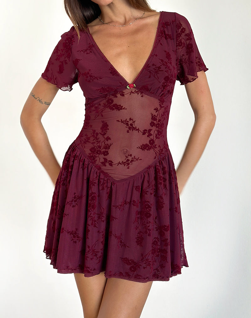 Geni Mini Vestido en Flor Botánico Granate