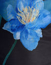 Negro con flor de acuarela azul