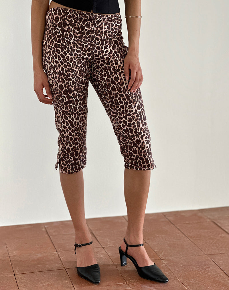 Japri Pushers en Rar Leopard Sandstorm
