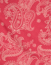 Paisley retro rosa