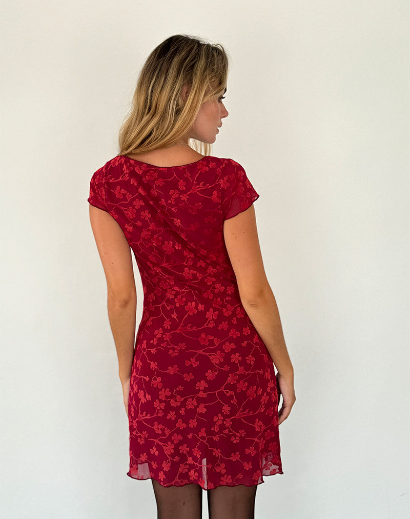 Imagen del minivestido Lashka en flock floral rojo grunge