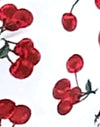 Cerezas