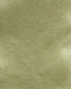 Oliva satinado