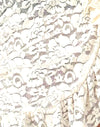 Rose Lace Ivory