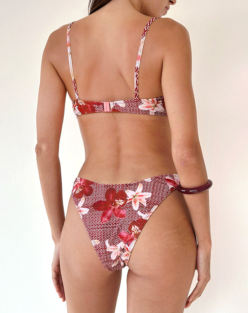 Imagen del sujetador de bikini Pali en zig zag lirio burdeos