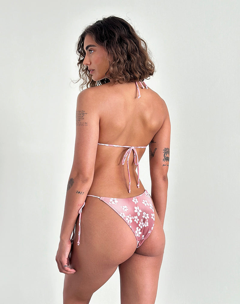 Imagen de la braguita de bikini Lentra en Hibiscus Floral