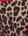 Leopardo Rar