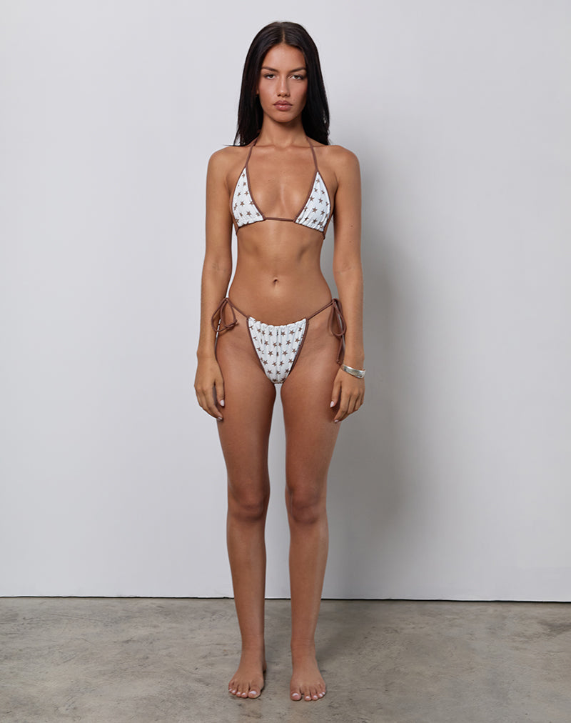 Imagen del sujetador de bikini Pami en estampado de estrellas blanco y marrón con ribete en contraste