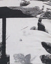 Photo Collage Gris