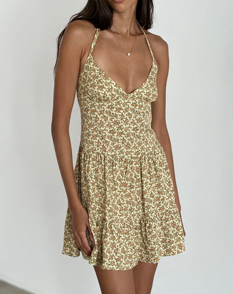 Imagen de Siskana Mini Dress in Washed Ditsy