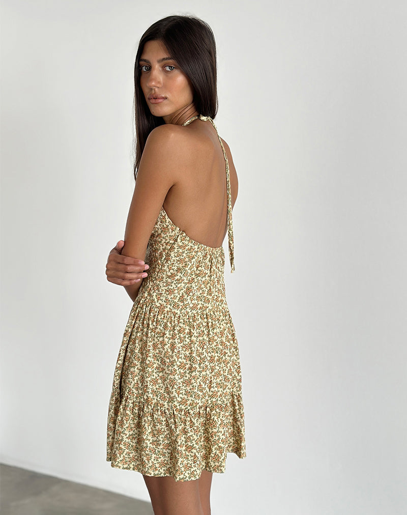 Imagen de Siskana Mini Dress in Washed Ditsy