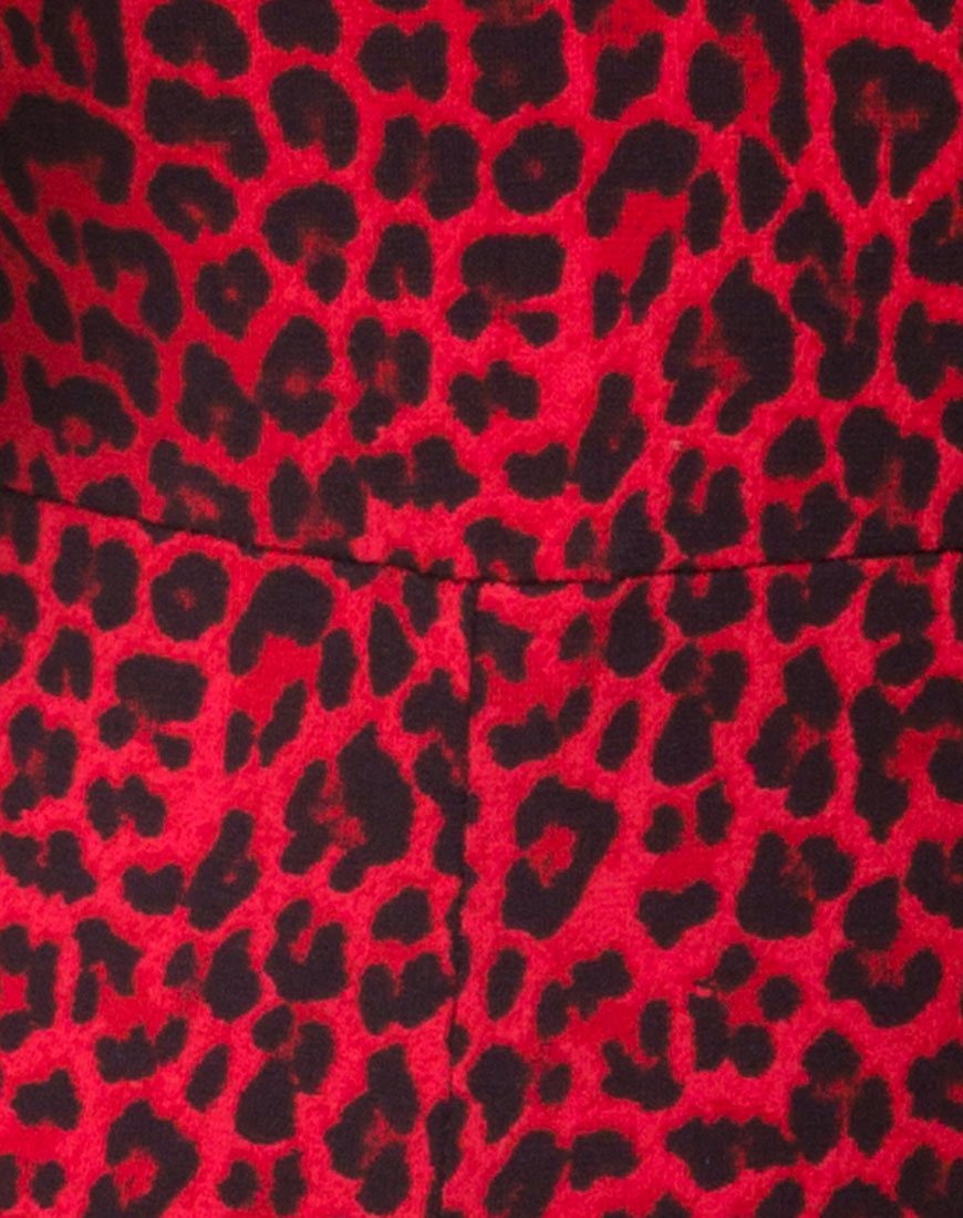 Imagen de Acro Unitard en animal de color