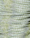 Lime Croc