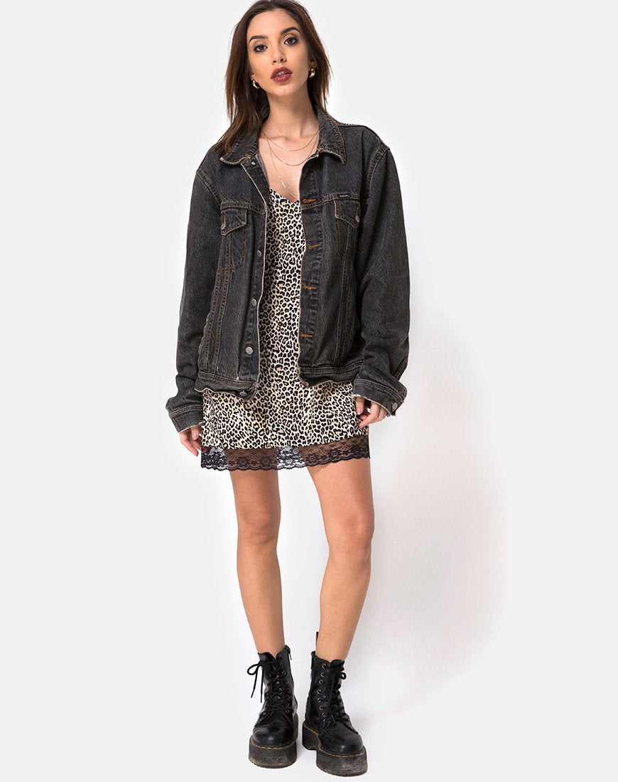 Imagen de Balace Slip Dress in Rar Leopard with Black Lace