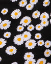 MiniDaisyNegro